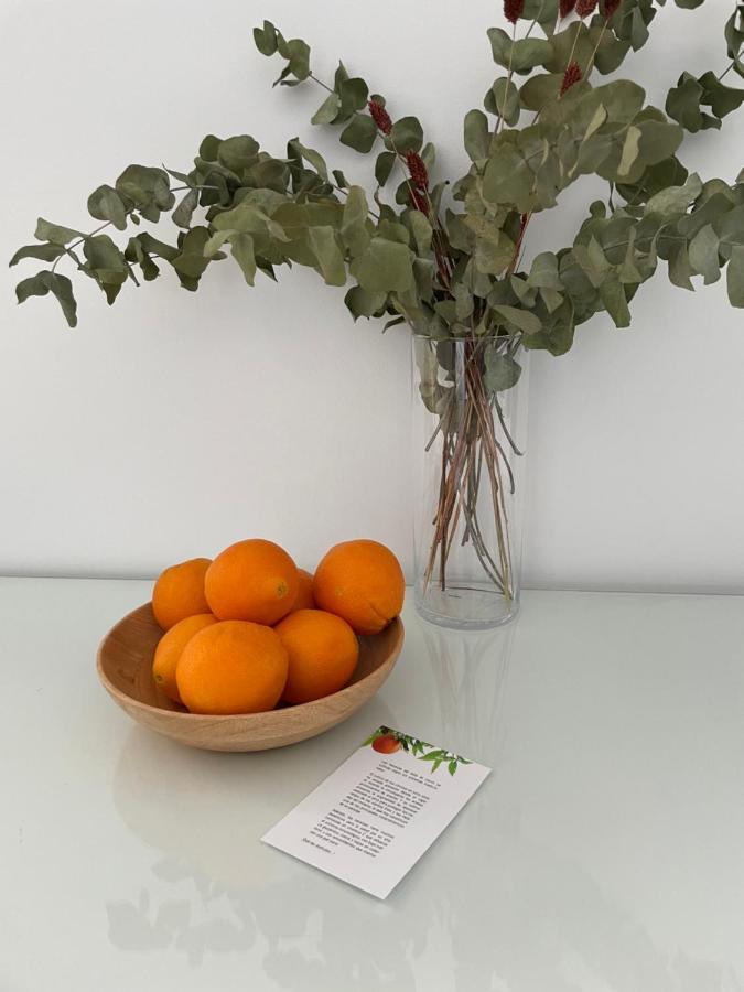 Apartamentos Con Encanto En El Centro De Granada Eksteriør bilde